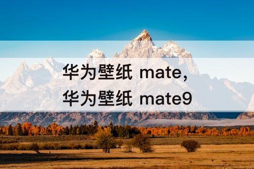 华为壁纸 mate，华为壁纸 mate9
