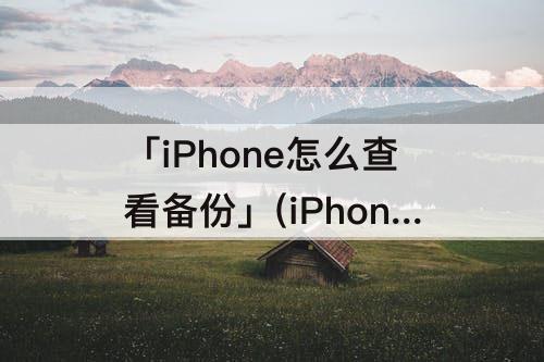 「iPhone怎么查看备份」(iPhone怎么查看备份时间)
