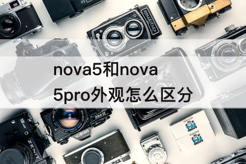 nova5和nova5pro外观怎么区分