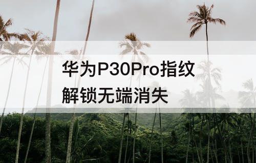 华为P30Pro指纹解锁无端消失