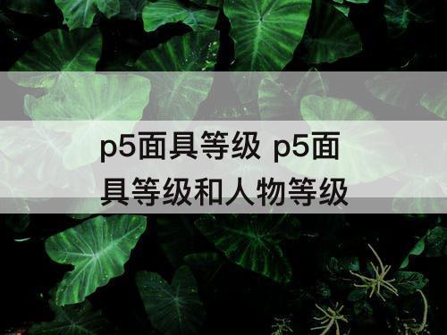 p5面具等级 p5面具等级和人物等级