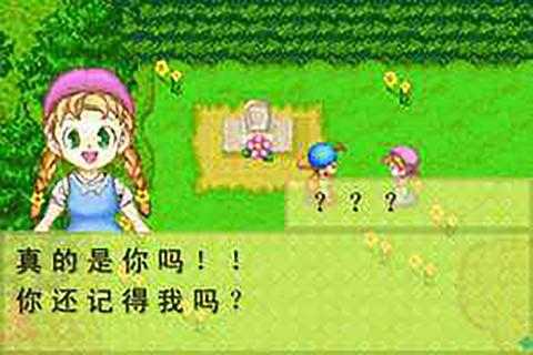 牧场物语中文版金手指