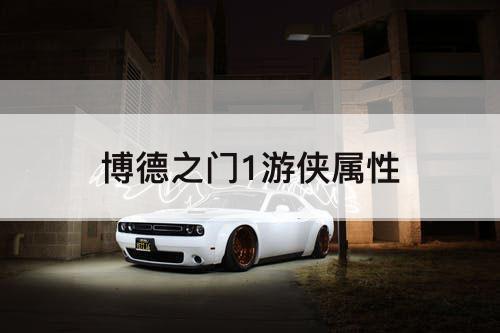 博德之门1游侠属性