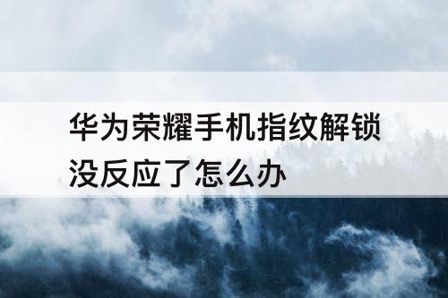 华为荣耀手机指纹解锁没反应了怎么办