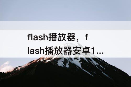 flash播放器，flash播放器安卓12