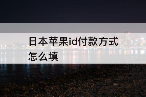 日本苹果id付款方式怎么填