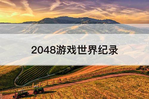 2048游戏世界纪录