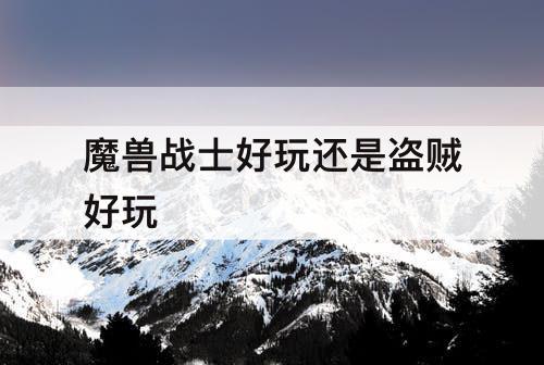 魔兽战士好玩还是盗贼好玩