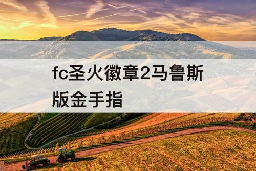 fc圣火徽章2马鲁斯版金手指