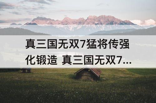 真三国无双7猛将传强化锻造 真三国无双7猛将传强化锻造区别