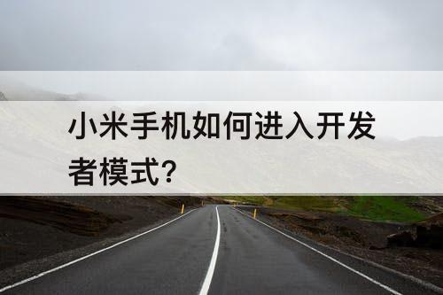 小米手机如何进入开发者模式?