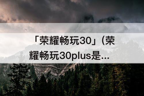 「荣耀畅玩30」(荣耀畅玩30plus是5g手机吗)