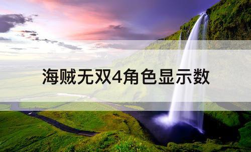 海贼无双4角色显示数