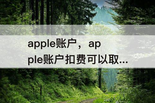 apple账户，apple账户扣费可以取消吗