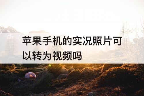 苹果手机的实况照片可以转为视频吗