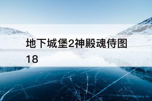 地下城堡2神殿魂侍图18