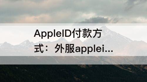 AppleID付款方式：外服appleid付款方式