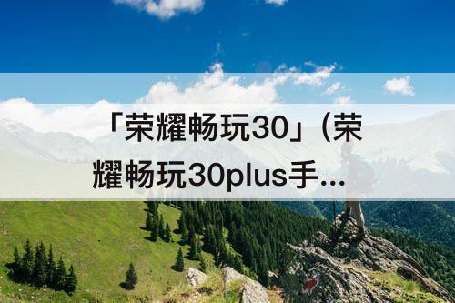 「荣耀畅玩30」(荣耀畅玩30plus手机功能)