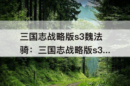 三国志战略版s3魏法骑：三国志战略版s3魏法骑和三势贾诩哪个强度高