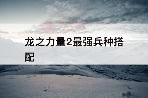 龙之力量2最强兵种搭配