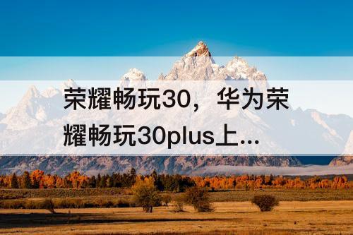 荣耀畅玩30，华为荣耀畅玩30plus上市价格
