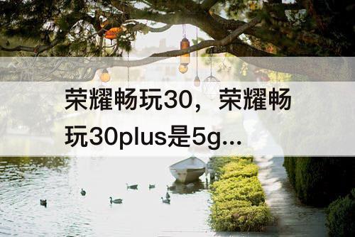 荣耀畅玩30，荣耀畅玩30plus是5g手机吗