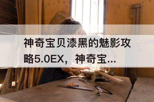 神奇宝贝漆黑的魅影攻略5.0EX，神奇宝贝漆黑的魅影攻略5.0exbw阿尔宙斯学什么