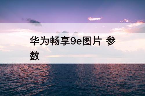 华为畅享9e图片 参数