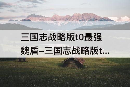 三国志战略版t0最强魏盾-三国志战略版t0最强魏盾兵书