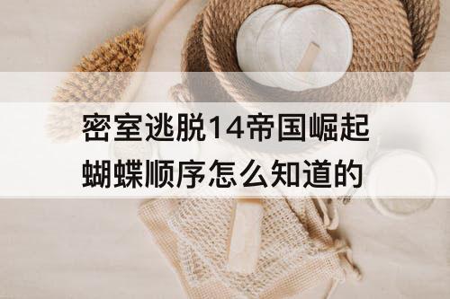 密室逃脱14帝国崛起蝴蝶顺序怎么知道的