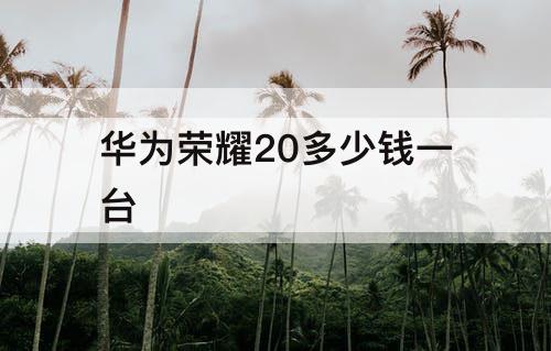 华为荣耀20多少钱一台