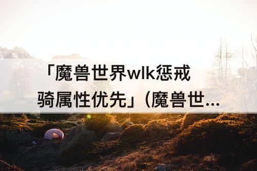 「魔兽世界wlk惩戒骑属性优先」(魔兽世界wlk惩戒骑属性优先级)