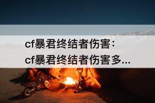 cf暴君终结者伤害：cf暴君终结者伤害多少
