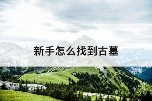新手怎么找到古墓