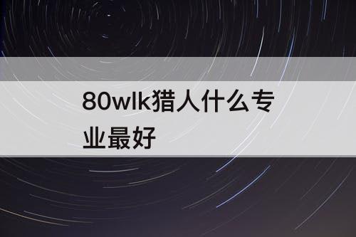 80wlk猎人什么专业最好