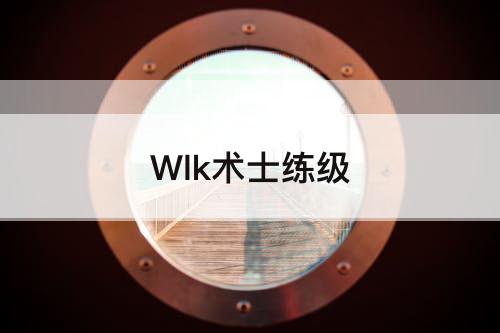 Wlk术士练级