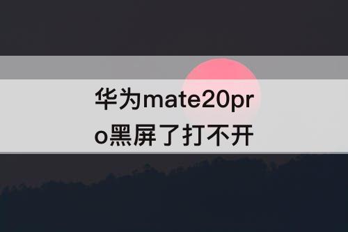 华为mate20pro黑屏了打不开