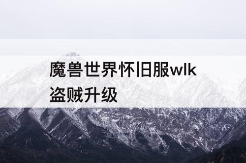 魔兽世界怀旧服wlk盗贼升级