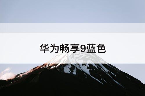 华为畅享9蓝色