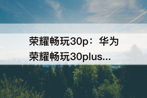 荣耀畅玩30p：华为荣耀畅玩30plus参数cpu