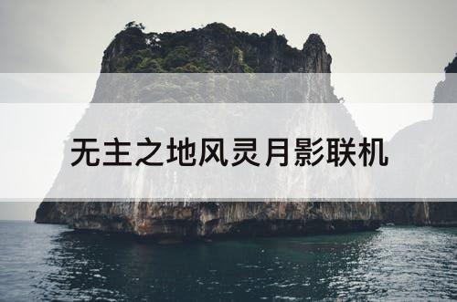 无主之地风灵月影联机