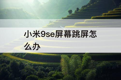 小米9se屏幕跳屏怎么办