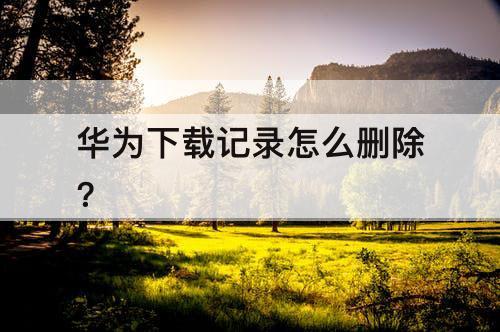 华为下载记录怎么删除?