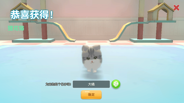 养了个猫无限金币最新版