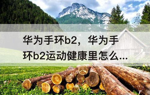 华为手环b2，华为手环b2运动健康里怎么没有了