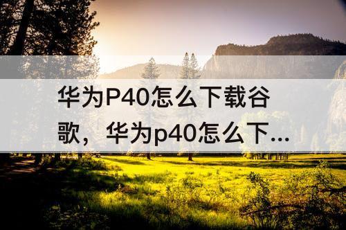 华为P40怎么下载谷歌，华为p40怎么下载谷歌框架