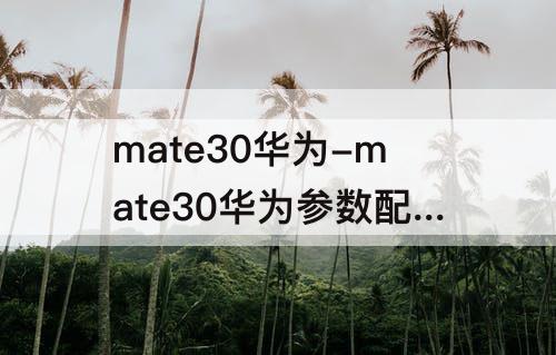 mate30华为-mate30华为参数配置