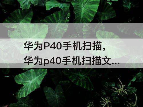 华为P40手机扫描，华为p40手机扫描文字变成文档