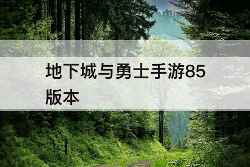 地下城与勇士手游85版本
