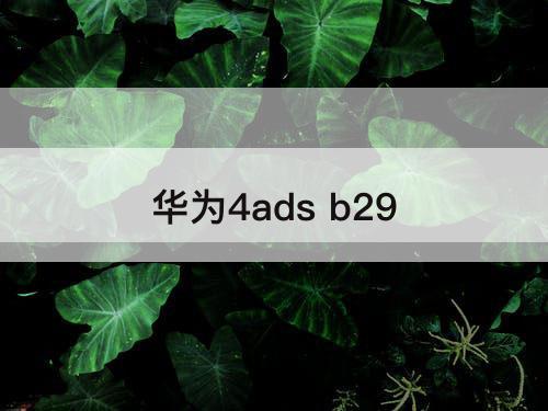 华为4ads b29